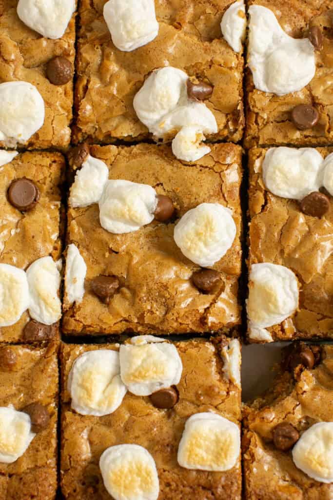 an overhead picture of the s'mores blondies after being cut.