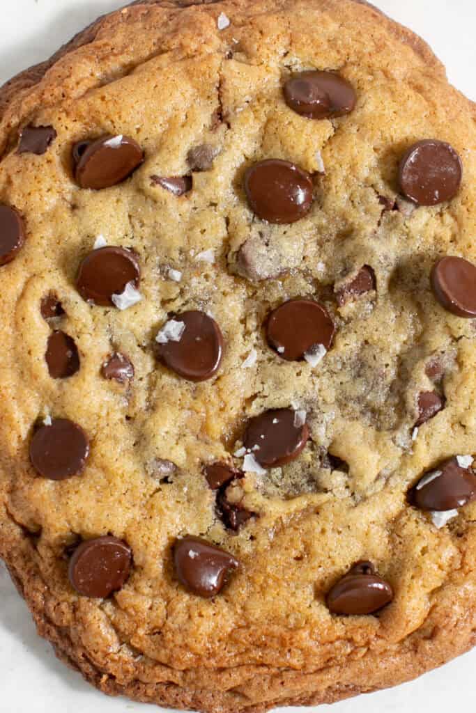 one cookie recipe 
