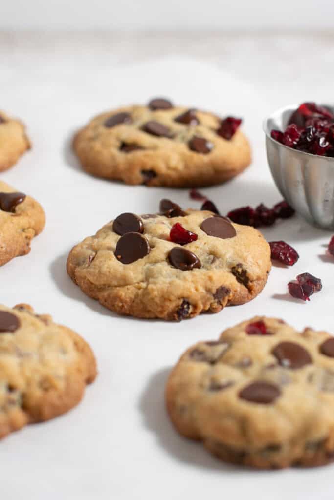 cranberry dark chocolate cookies 